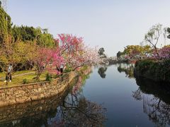 -无锡蠡湖国家湿地公园-蠡园