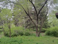 -长春市南湖公园