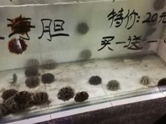 -海盗餐厅