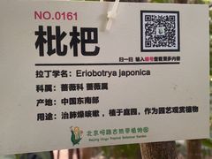 -呀路古热带植物园