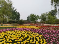 -济南植物园