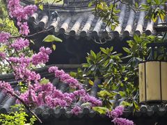 -常熟方塔园