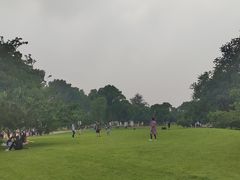-御林古桑园