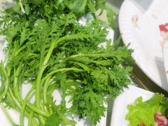-蒙星月涮肚火锅城(宏运家园店)