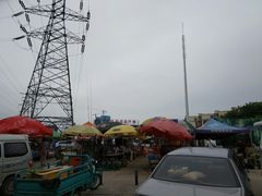 -中环花鸟鱼虫市场