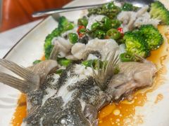 -顺意·顺德家乡菜(国际人才大厦店)