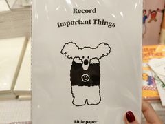 -猫的天空之城概念书店(大学路店)