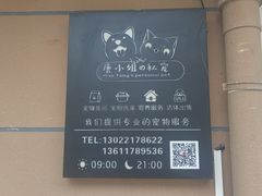 -唐小姐の私宠·宠物洗护美容·撸猫馆·购宠(周浦万达旗舰店)