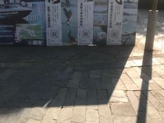 -东湖落雁景区