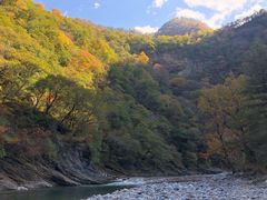 -黑河国家森林公园