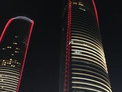 -演武大桥观景平台