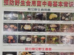 -双喜农庄·菌香园(安居家园店)