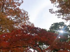 -景福宫