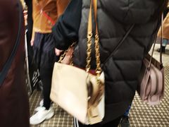 -COACH蔻驰(恒隆广场店)