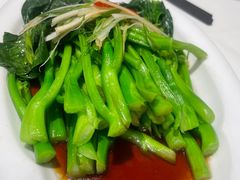 清炒芥蓝-眉州东坡(团结湖店)