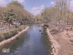 -长白岛森林公园