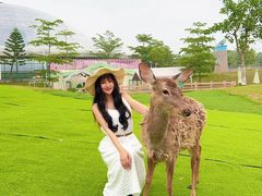 -盈香心动乐园
