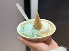 -极拉图·现制冰淇淋(大卫城店)