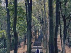 -火炉山森林公园