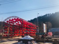 -龙福源密云水库灶台鱼