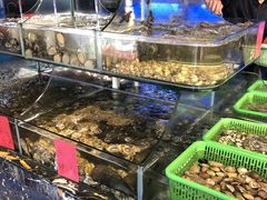 水产区-友强·23年特色海鲜大排档(厦门店)