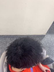 -东梵造型·烫发染发接发连锁SALON