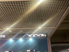 -虹桥综合交通枢纽-P6停车库