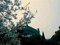 -武汉大学-樱园