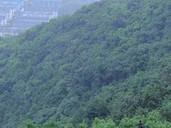 -杭州半山国家森林公园