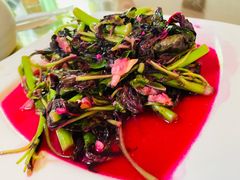 野菠菜-老张烤羊(王哥庄店)