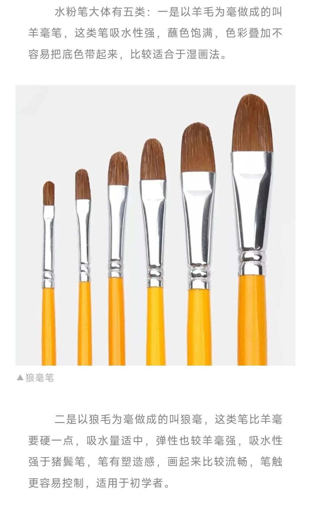 水粉画的画笔种类功能介绍水粉画毛笔