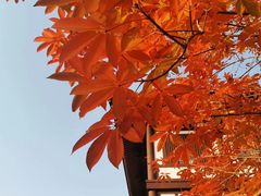 -清凉寺