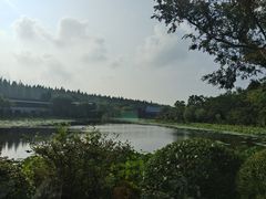 -上海怡沁园度假酒店