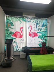 -苗塑堂减肥·艾灸