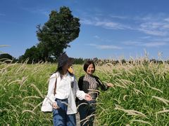 -汉长安城未央宫国家考古遗址公园