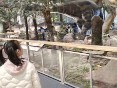 -湖南省地质博物馆