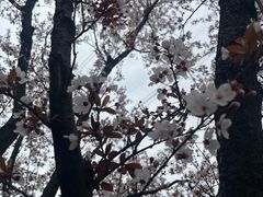 -颐景园