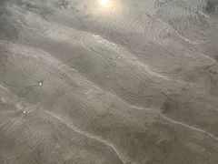 -台山黑沙湾海浴场