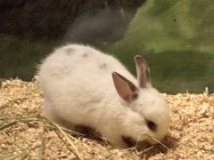 -绿色星球动物主题公园