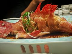 -北塘海鲜·天津菜(大光明桥旗舰店)