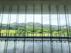-燕塞湖鸟语林景区