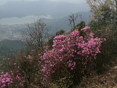 -梧桐山风景名胜区