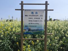 -中国天府农业博览园