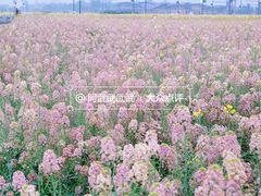 -中国天府农业博览园