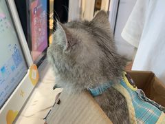 -蛙小侠(旺城广场店)