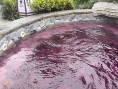 -杭州第一世界大酒店·云曼温泉