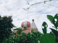 -松山湖梦幻百花洲