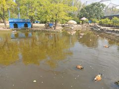 -森林公园(尖草坪区)