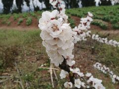 -金堂县云顶石城风景区