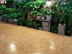 -大自然花鸟鱼虫市场